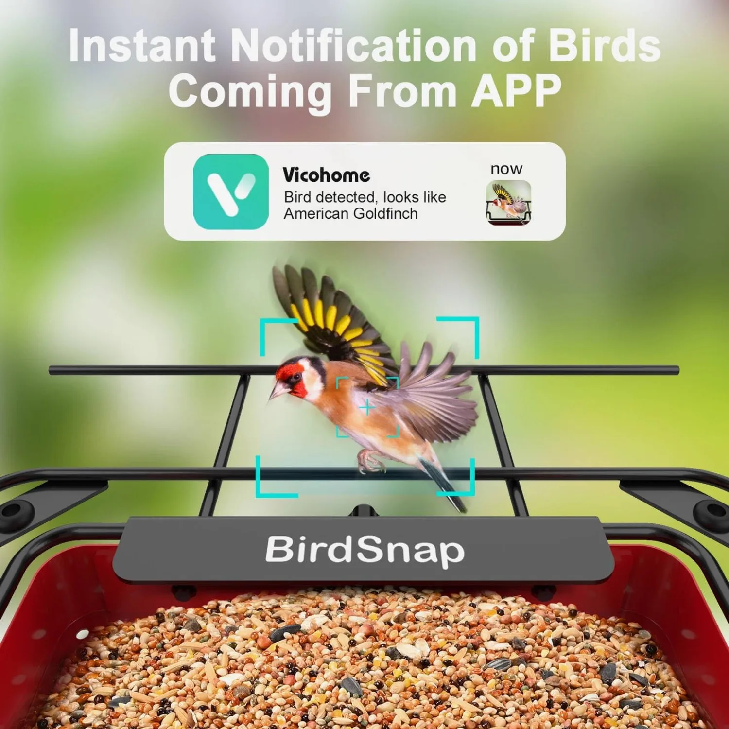 APS - Metal Bird Feeder with Camera Solar Panel 32GB Card, AI Identify 10000+ Birds Camera Feeder, 2K HD Live View Auto