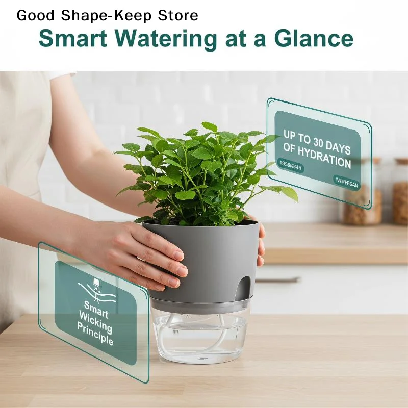 daily1Pcs Transparent Self-Watering Lazy Flowerpot Hydroponic Plant Pot for Kids Gardening Practice Home UseDaily products