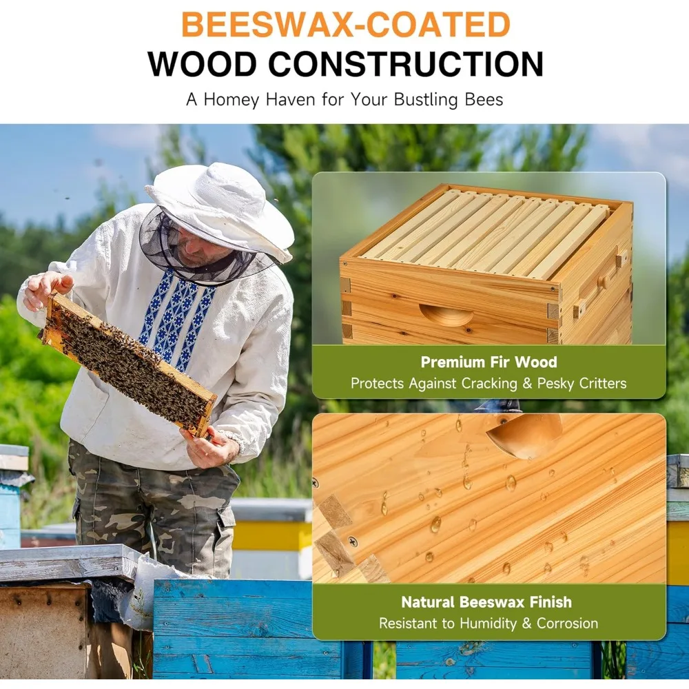 30 إطارًا من خلية النحل، مجموعة أدوات بداية صناديق خلية النحل مع صندوق متوسط وصندوقين عميقين، مجموعة خلية نحل مطلية بشمع العسل مع إطارات و