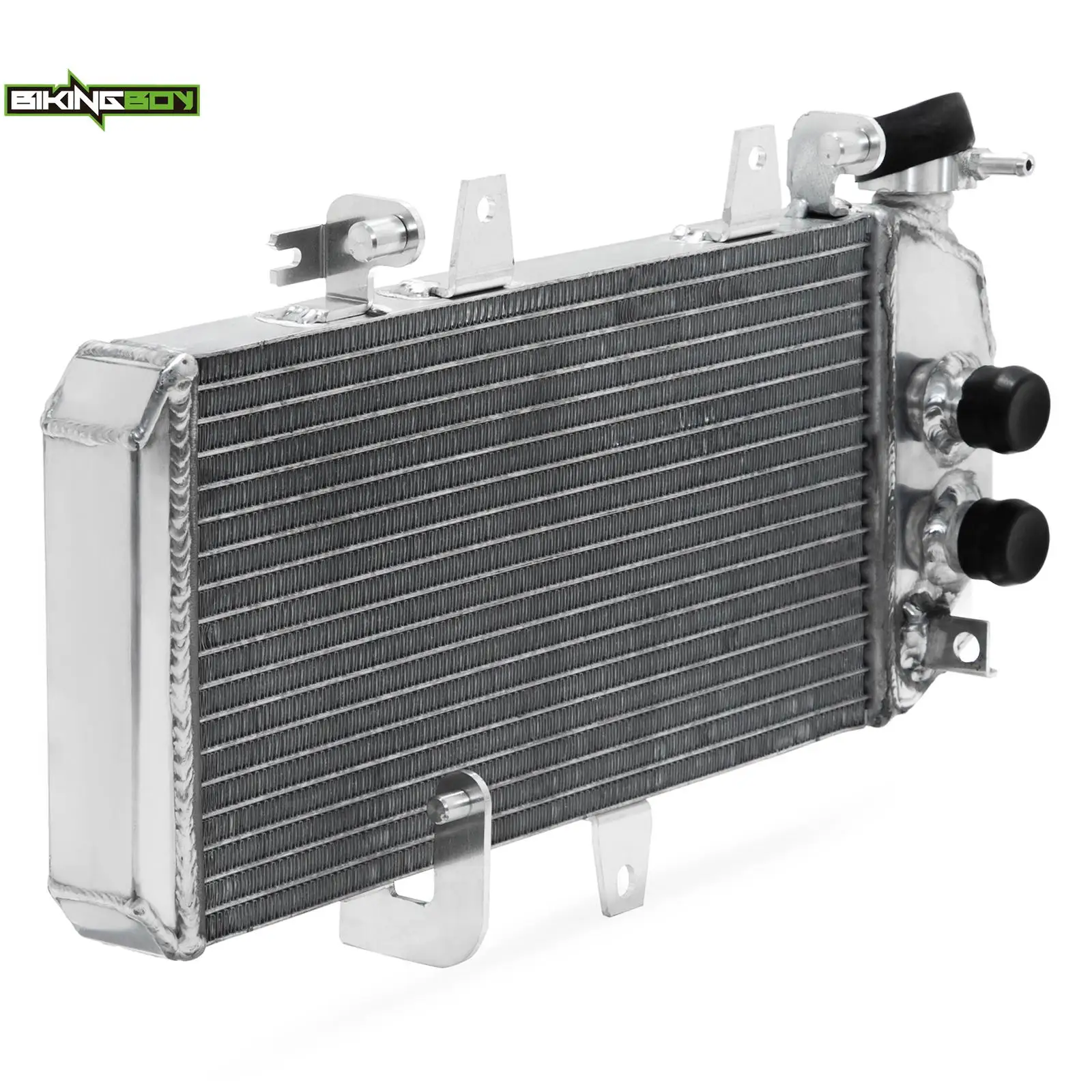 BIKINGBOY Motorkühler F650GS 06-12 F700GS 10-17 F800R 05 06 08-18 F800S 04-10 F800ST 04-12 F800GT 11-18 13 14 15 16 – Detail 6