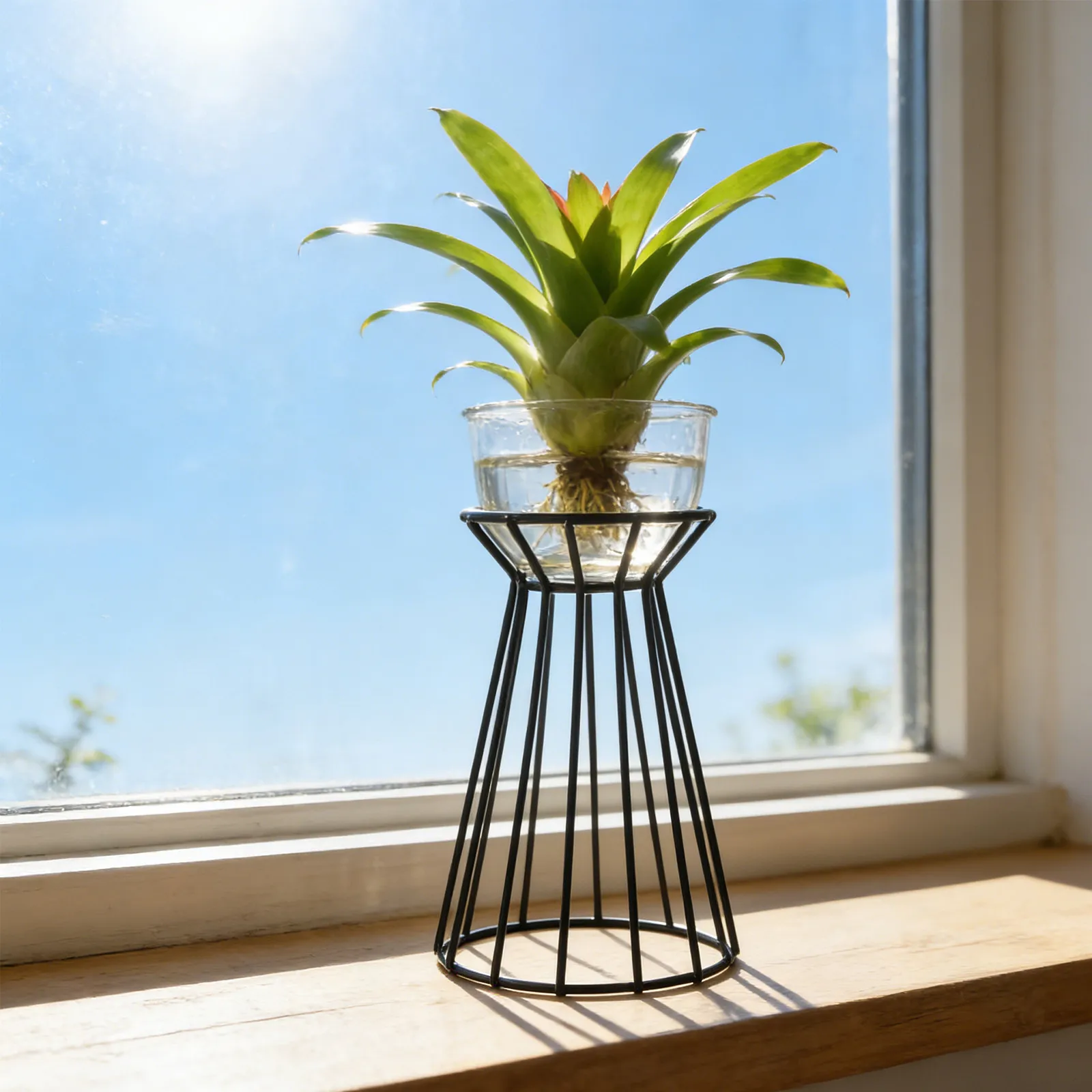 Metal Flower Stand Iron Frame Swingable Light Weight Plant Holder for Air Plants Air Pineapple Display Desk Top Windowsill