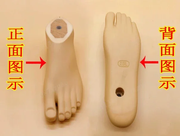 Static Ankle Prosthetic Foot Board 22-27cm Accessories Parts, for Artificial Limbs Orthoses Prostheses Sockets Fasten