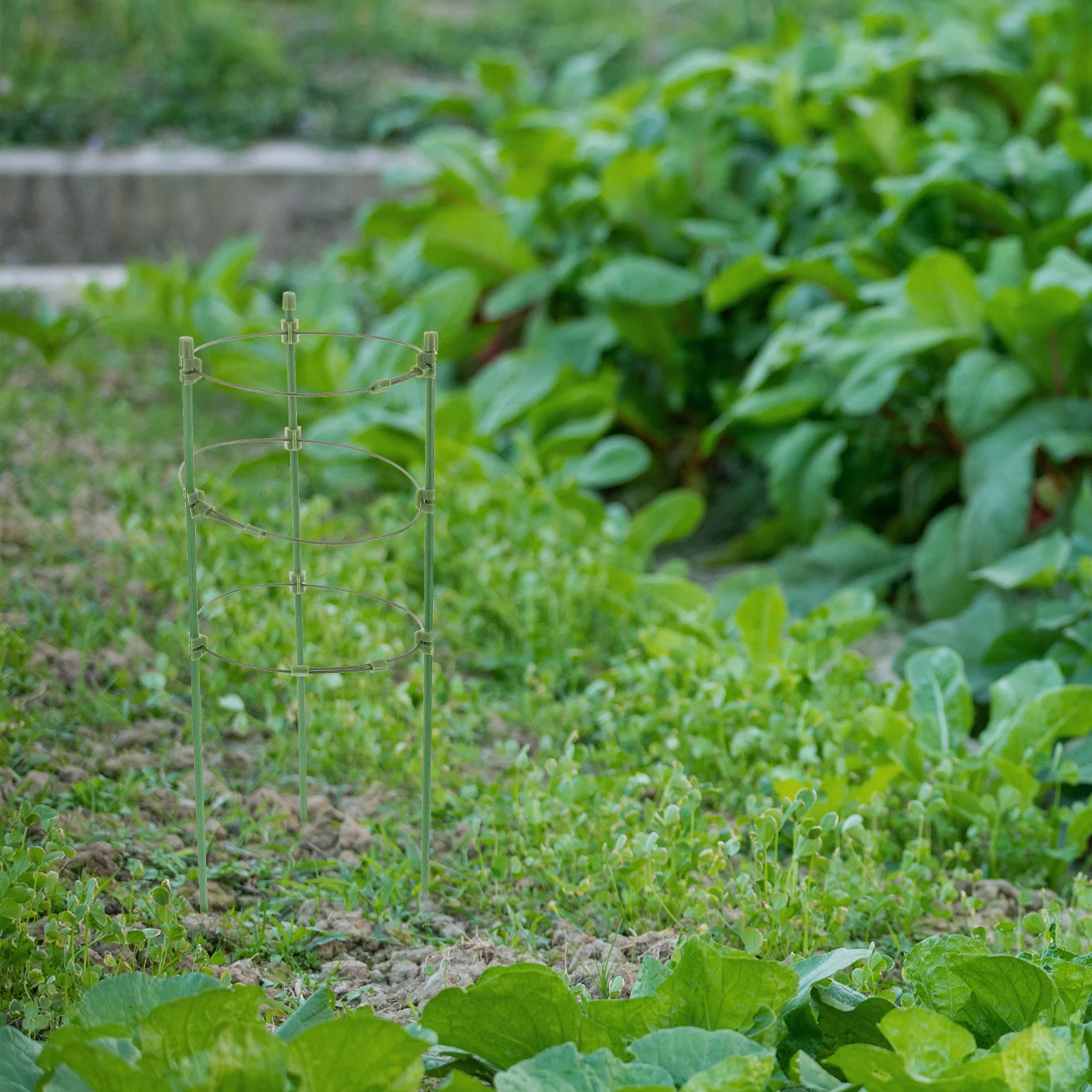 

2Sets Climbing Plants Trellis Cylindrical Fiberglass Garden Support for Roses Vines Balcony Vertical Space Saver