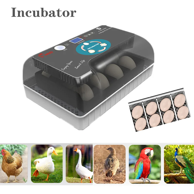 

Automatic Digital 12 Eggs Incubator Hatcher Large Capacity Practical Incubators For Chicken Poultry Quail Eggs Home Use HOT SALE