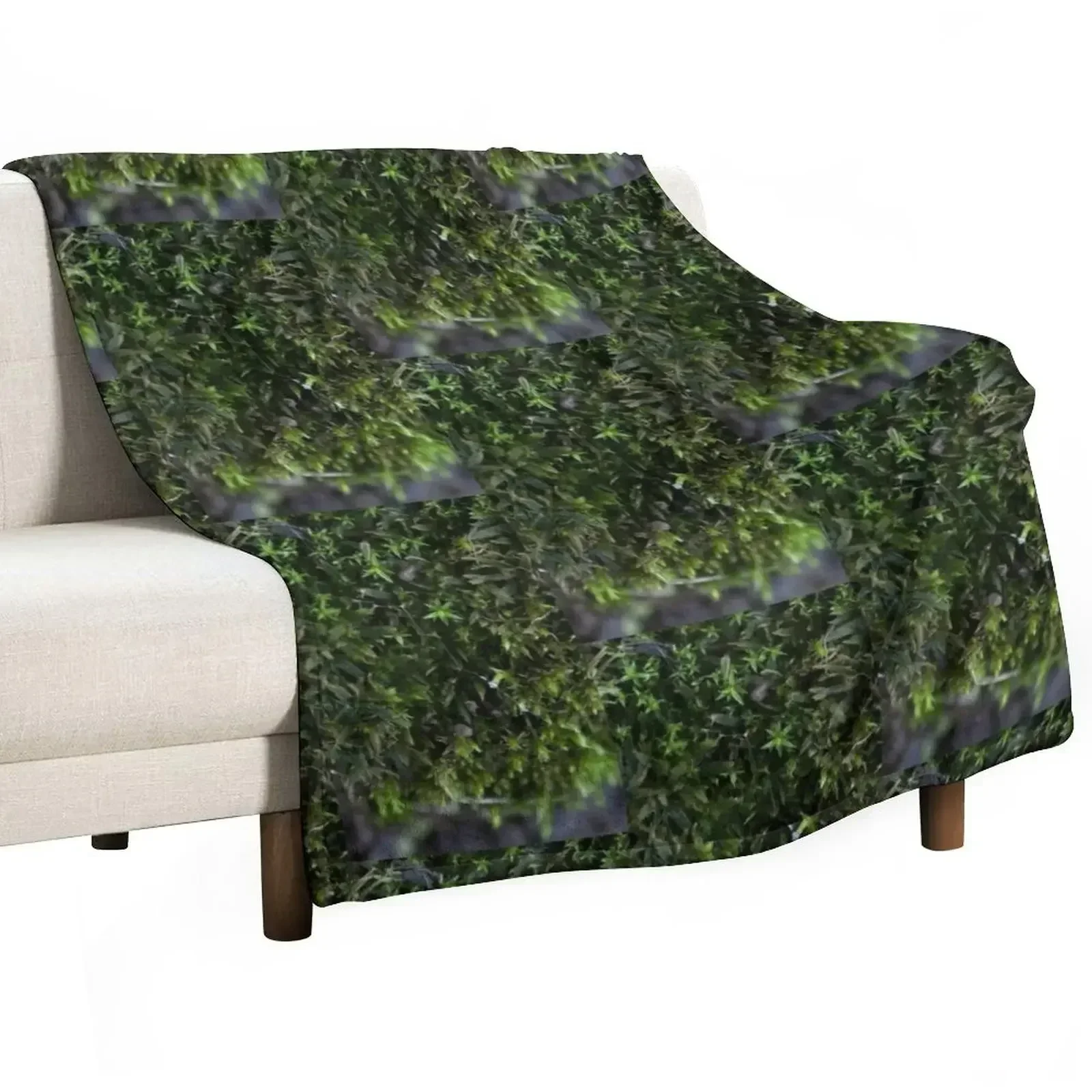 Moss Throw Blanket Hair Flannel Fabric Comforter Large Blankets
