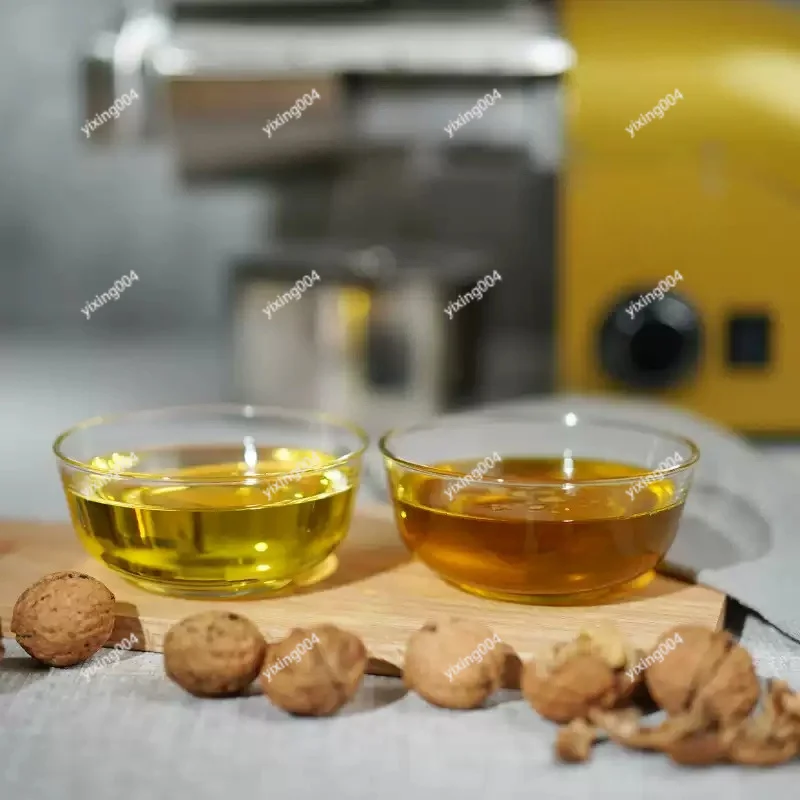 Automatic Small Oil Press Machine, Stainless Steel Hot Cold Press Extractor for Home