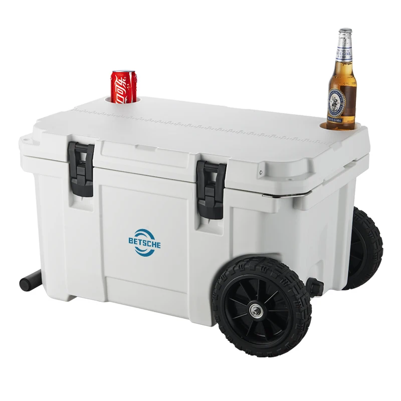 Q Outdoor activities Camping Food Fruit Beer Freezer Fishing Freezer