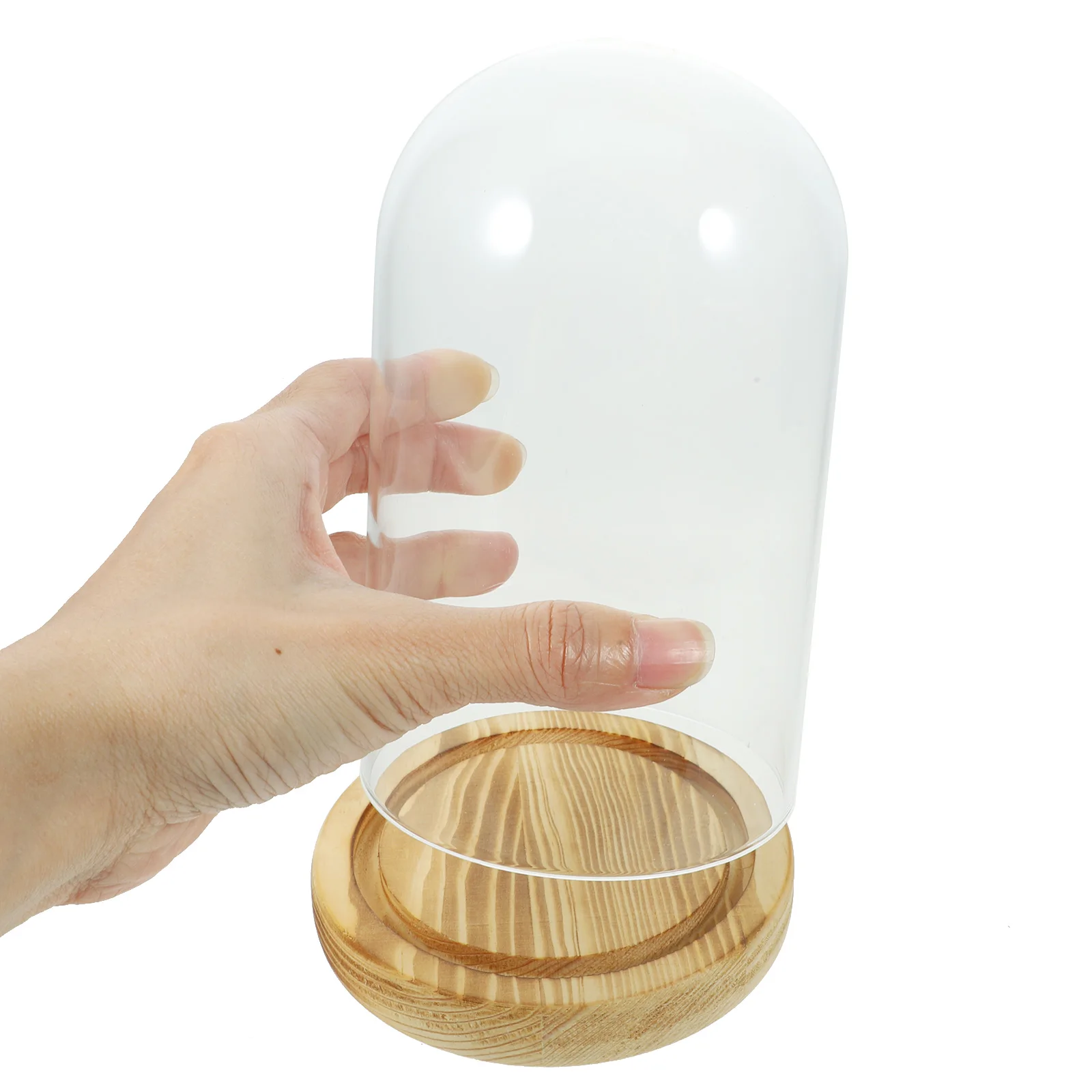 

Glass Cover 9x15cm Wood Bottom Display Dome With Base Display Case for Flowers Dried Plant Decor Glass Dome Storage