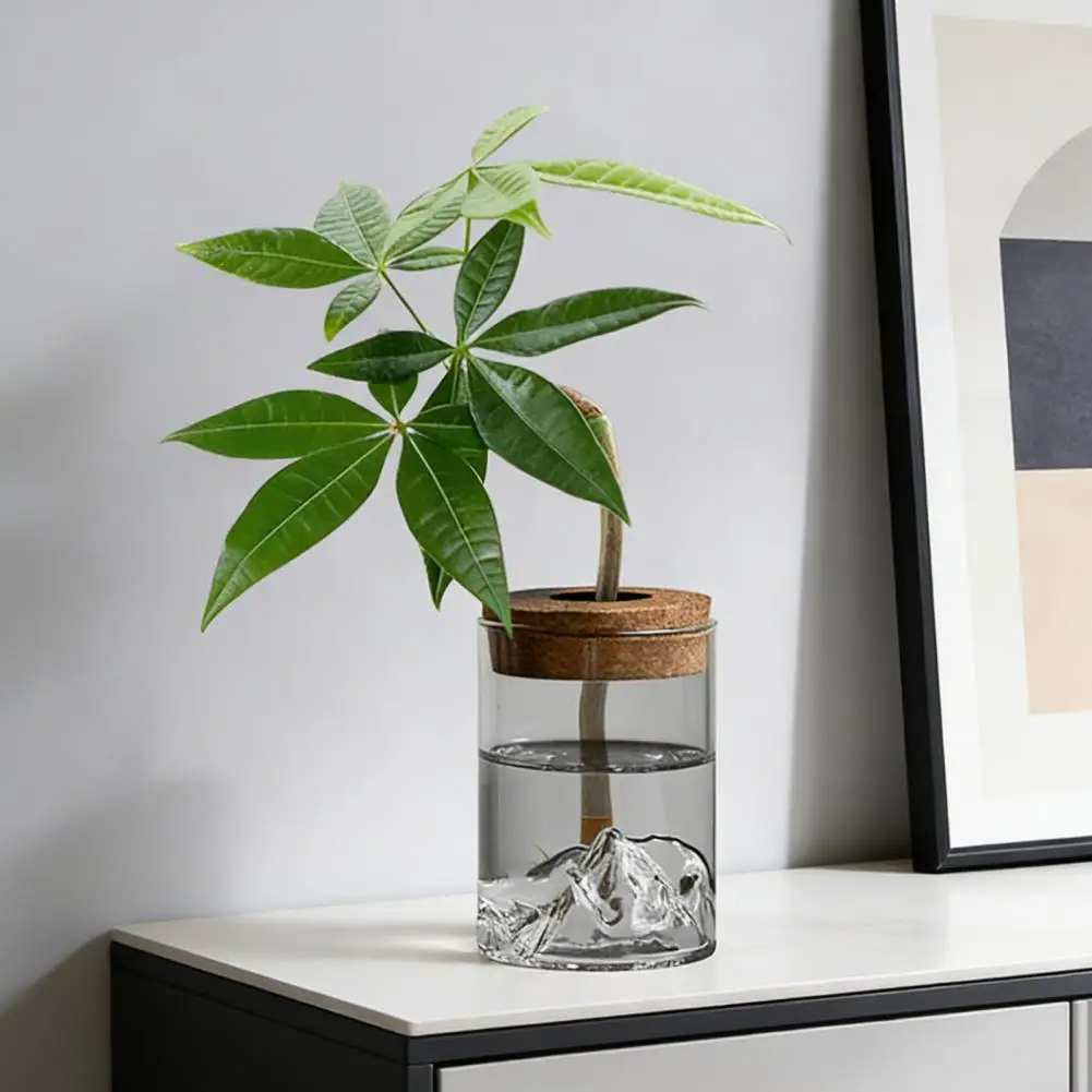 Hydroponic Glass Jar Plant Propagation Station Clear Mountain Vase Desktop Decoration Home Office