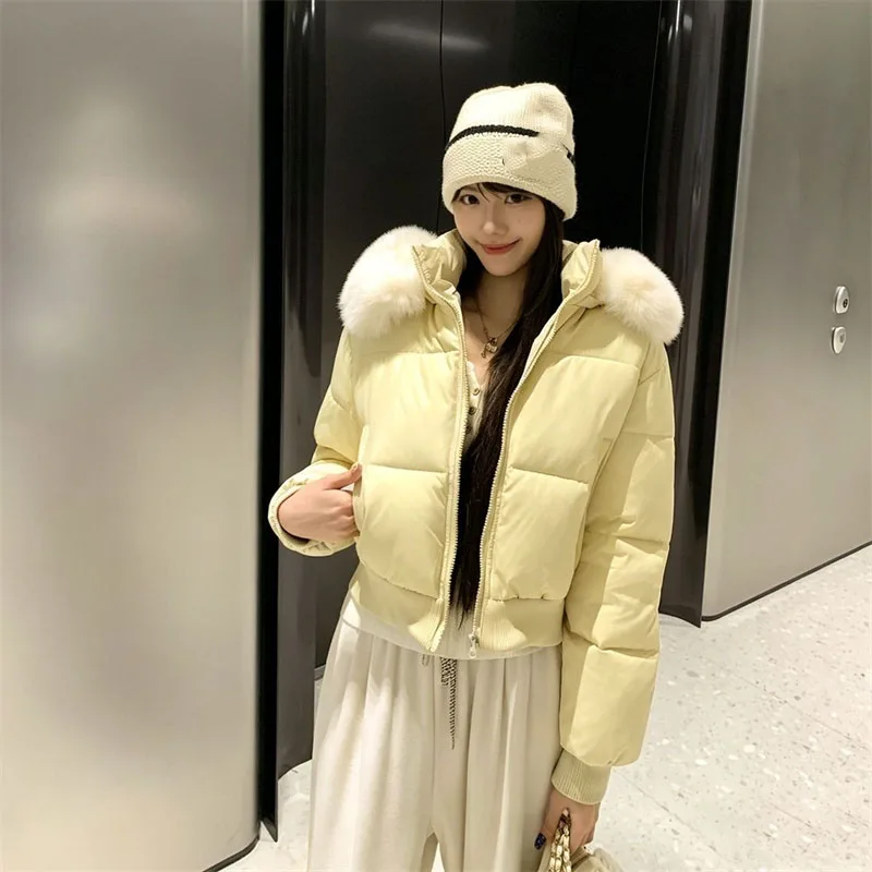 Female Solid Color Hooded Parkas Coat Winter Ladies Big Fur Collar Thick Short Top Outwear Women Long Sleeved Down Cotton Jacket