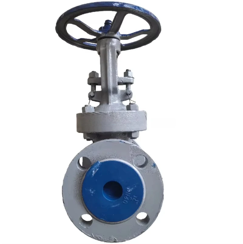 صمام بوابة شفة فولاذية مصبوبة DN40 ~ DN600 صمام بوابة فولاذي مصبوب شفة WCB