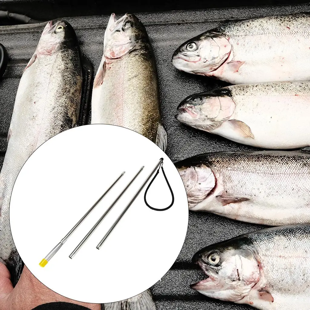 Thumbnail 2 - #30 Compare Fishing Gaffs Before You Buy