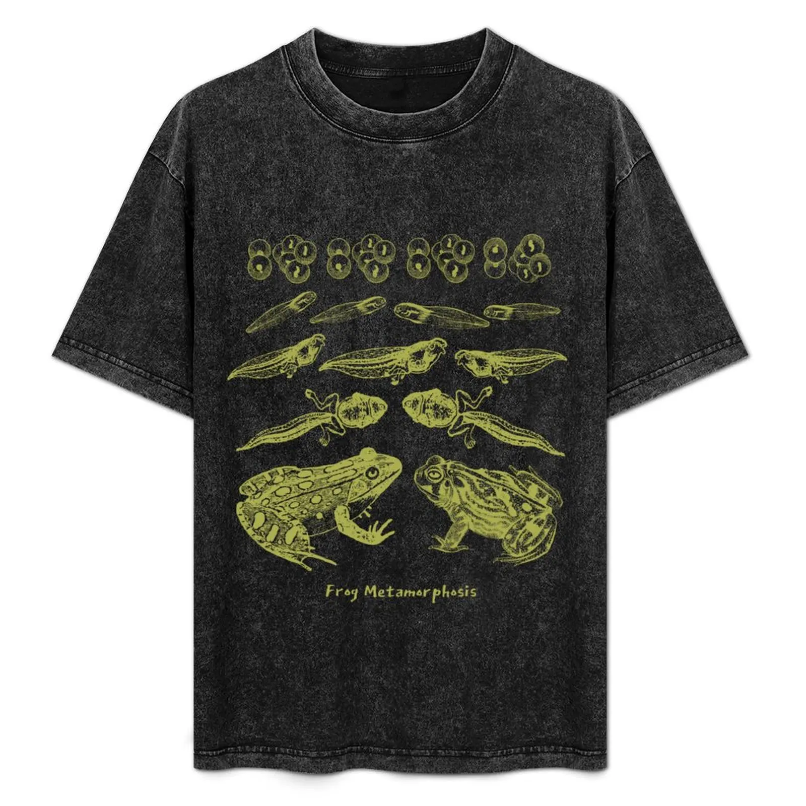 

Vintage Frog Life Cycle Design: Toad Tadpole Metamorphosis for Biology and Natural History Lovers T-Shirt