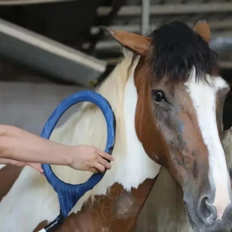 Máquina Hofmag de Hock And Loop de Terapia Masajeadora