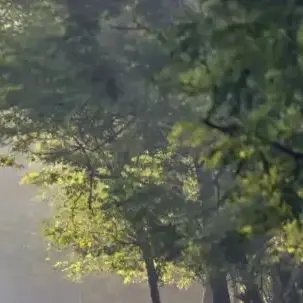 

24V Power Tools 29842 29852 29322 20362 MO24B410 MO48L4211 24V 5000mah Li-ion Rechargeable Battery for Greenworks