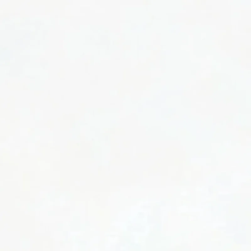 

Universal 10PCS Airbag Decoder / Strengthen The Chip Shield Resistance Airbag Shield Resistance