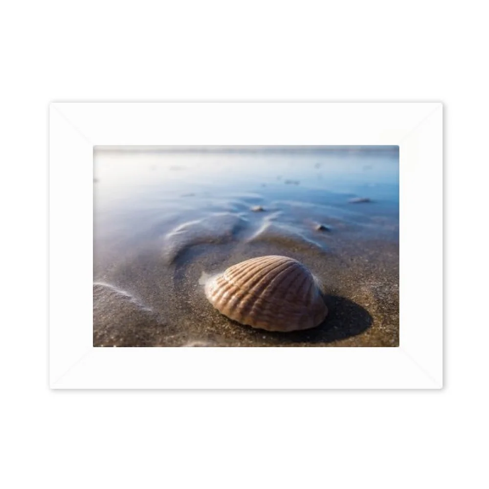 Ocean Water Shell Science Nature Picture Photo Mount Frame Picture Art Painting Desktop 5x7 inch