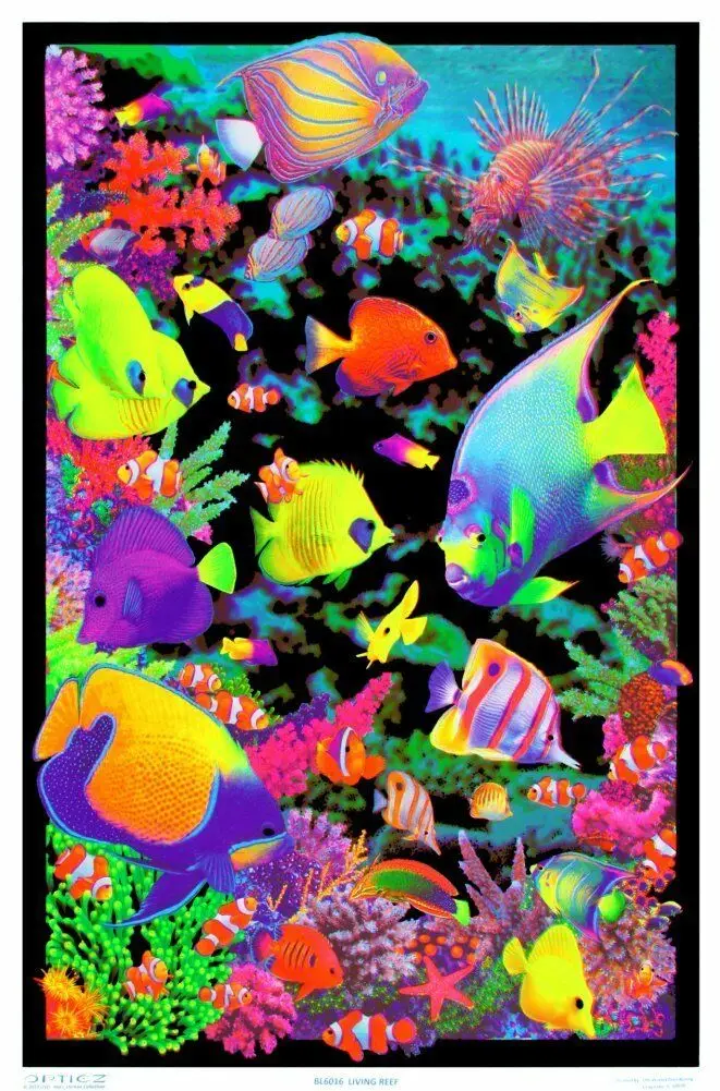 

LIVING REEF Art Film Print Silk Poster Home Wall Decor 24x36inch