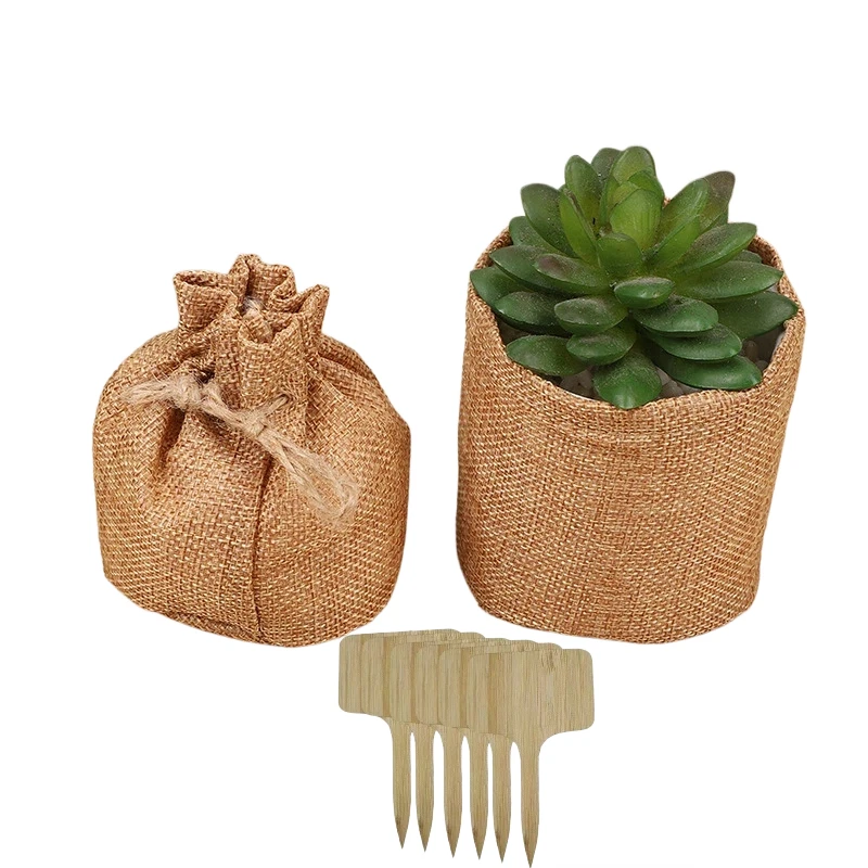 20pcs Bonsai Tree Kit Mini Succulents Burlap Pots with Plant Labels Growing DIY Gardening for Plant Lovers Succulent Pot