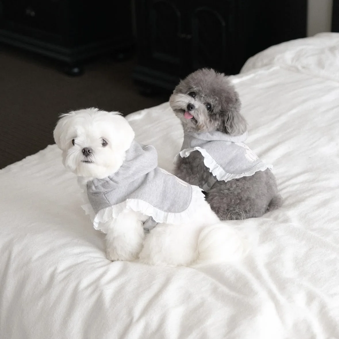 

Embroidered Bear Design Cute Pet Cape For Keeping Warm Cotton Dog Coat With Lace Patchwork