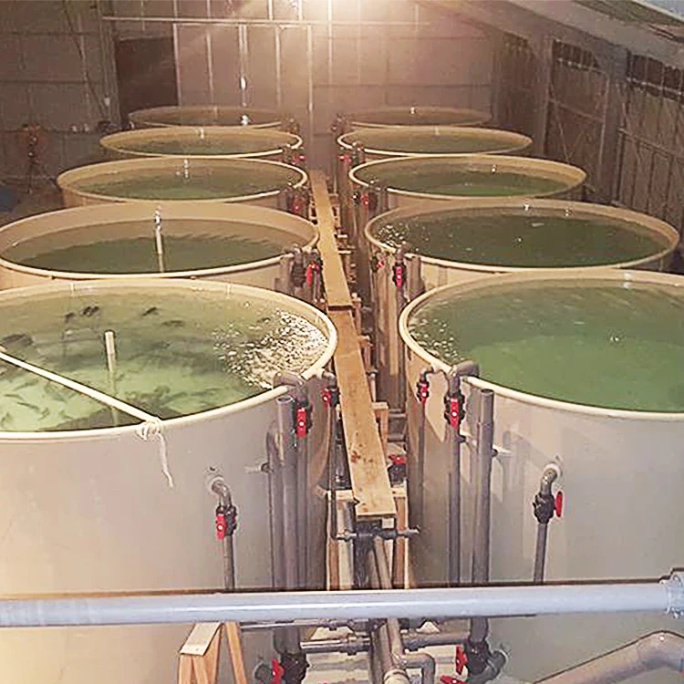 2025Commercial Shrimp Pond for Backyard Crawfish Farming Profitable Aquaculture Equipment