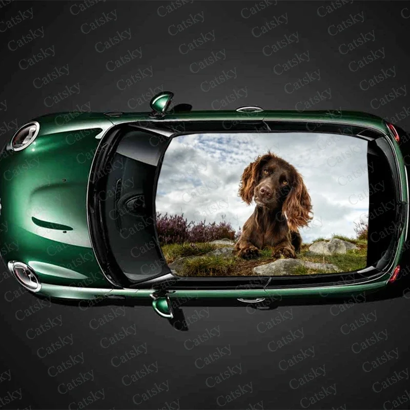 

Английский кокер-спаниель, наклейка на крышу автомобиля, декоративная пленка, наклейка на автомобиль, виниловая наклейка на капот, графическая пленка, аксессуары для защиты автомобиля, подарок