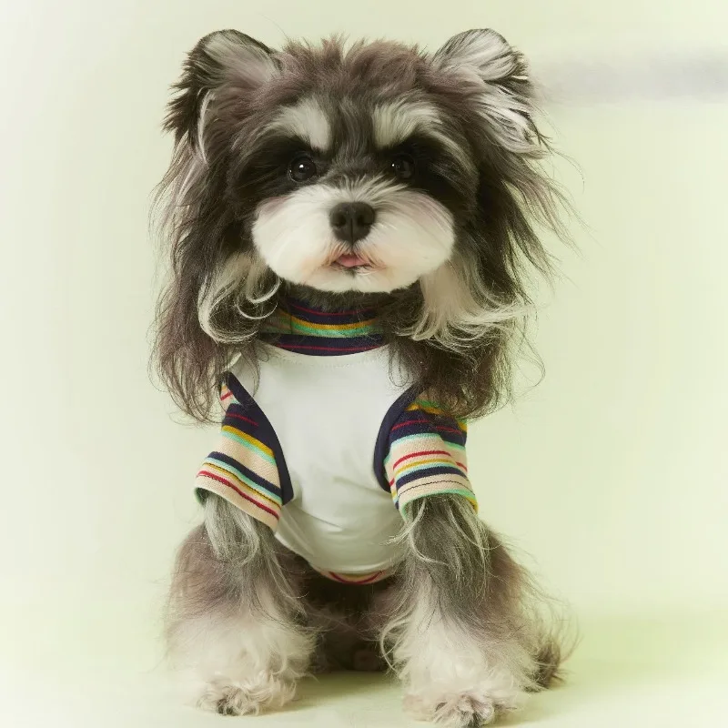 American Style Contrast Striped Fake Two-piece Dog T-shirt Spring Summer Puppy Clothes for Teddy Schnauzer Bichon Frise