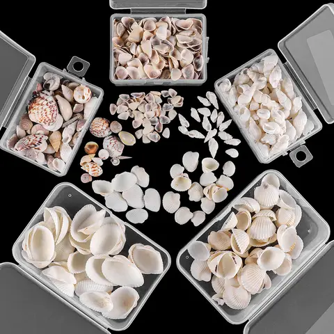 6 best sales shells - №3