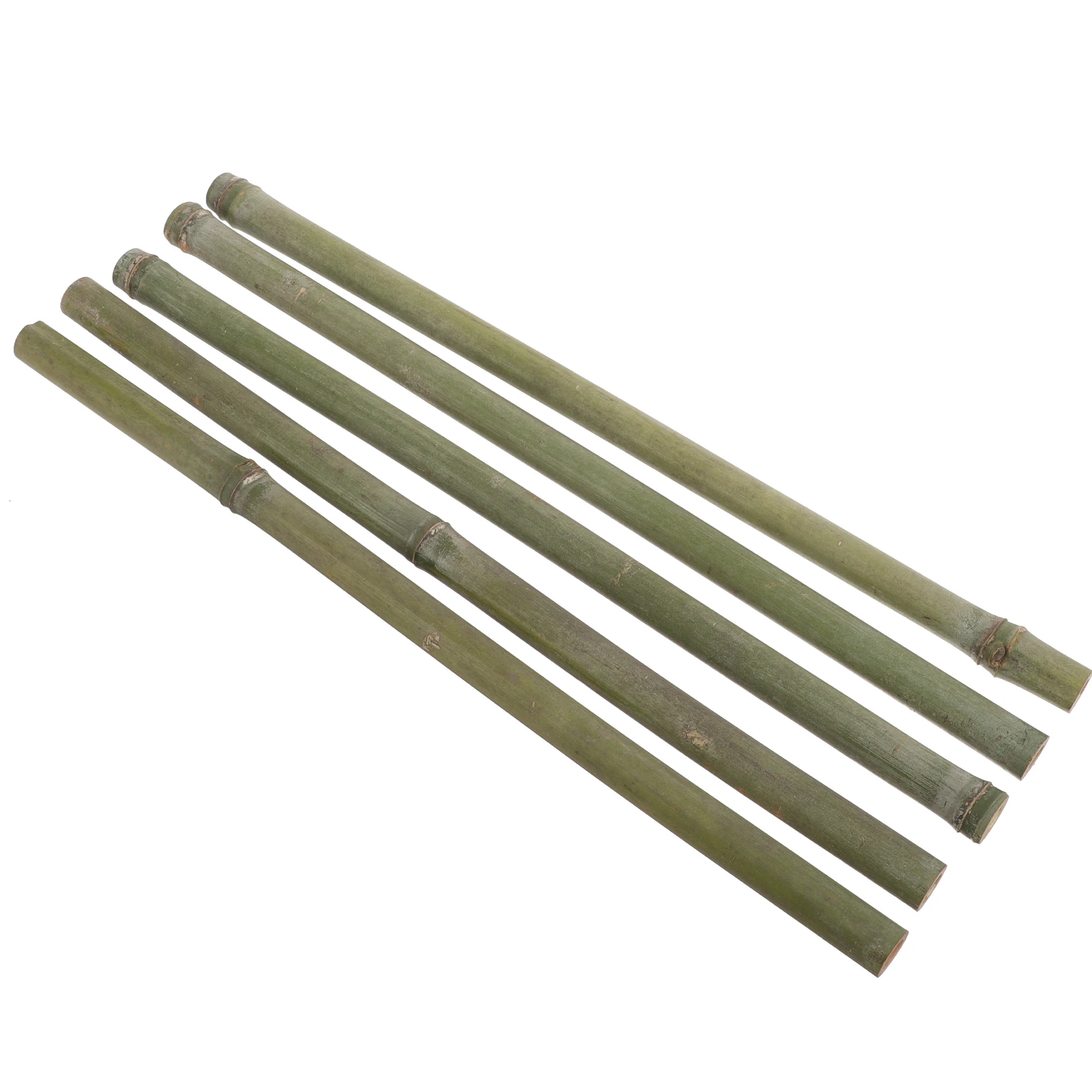 

5PCS Bamboo Sticks 1-2cm Diameter 40cm Height Garden Trellis for Climbing Plants Orchid Poles Plant Supports Bamboo Stakes