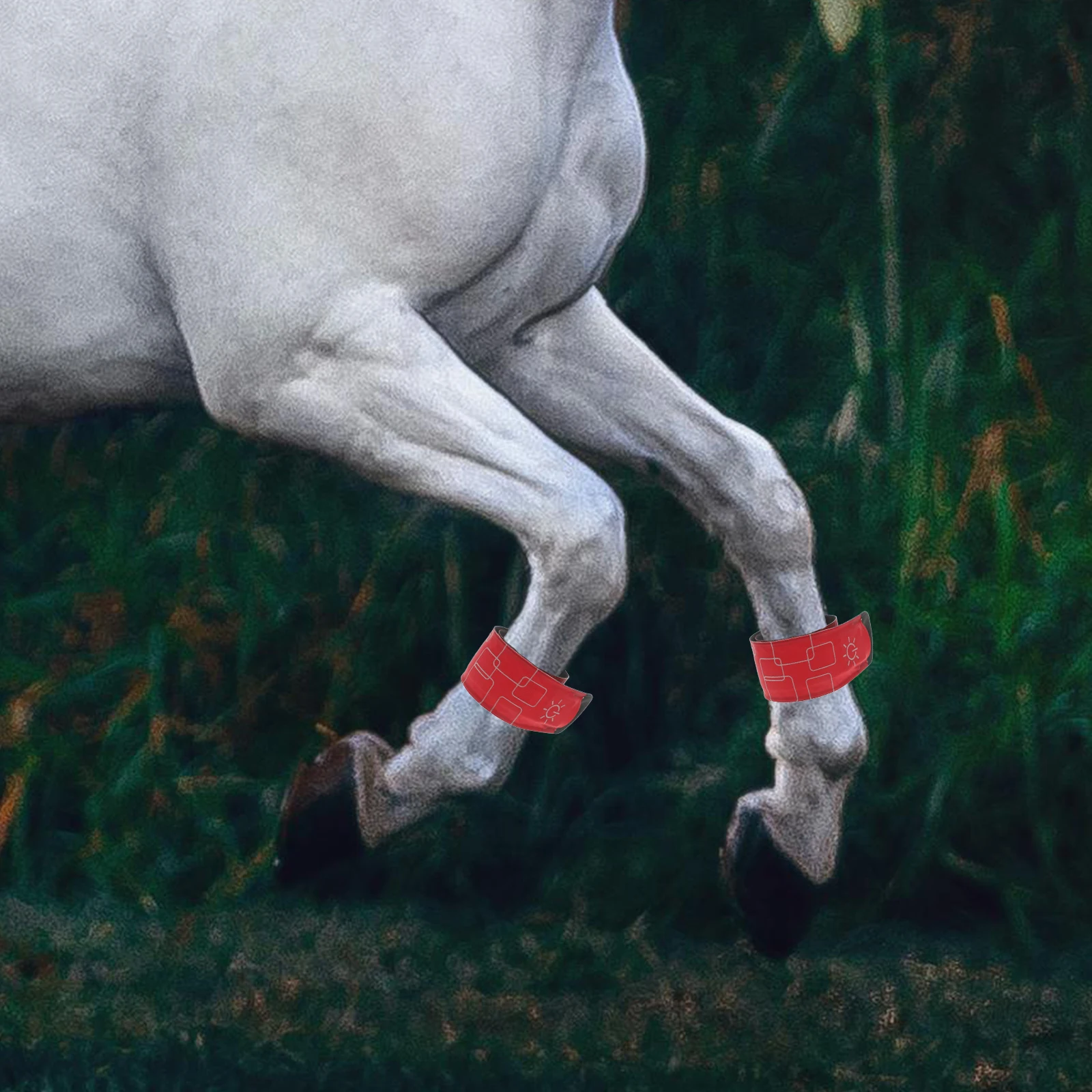 

4pcs LED Horse Ankle Leg for Night Riding Cycling Brightness Adjustable Durable Reflective Safety