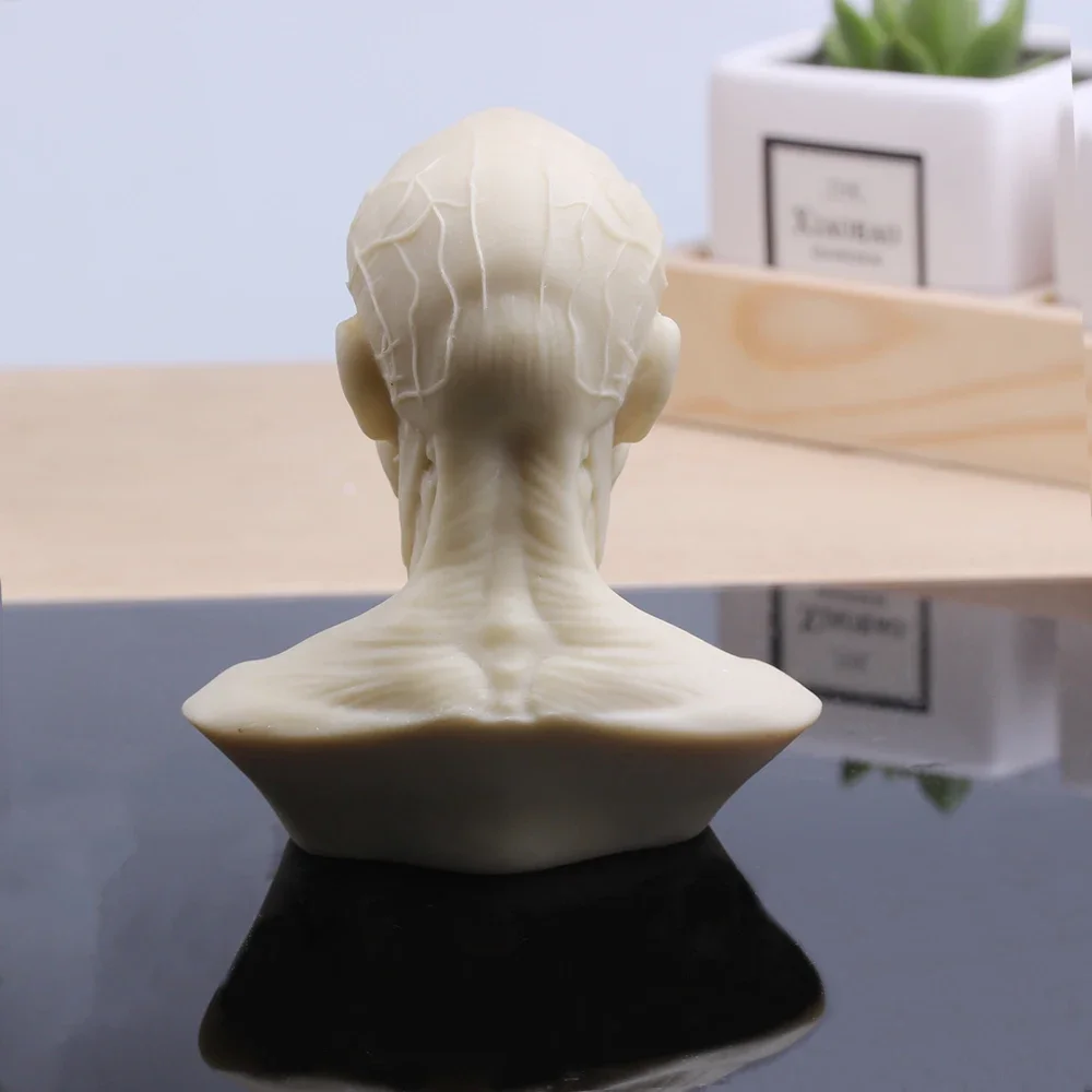 MGT-Small Plaster Sculpture, Musculoskeletal Skull Bust, Home Decoration, Resin Art and Craft, Sketch Practice Decoration Office