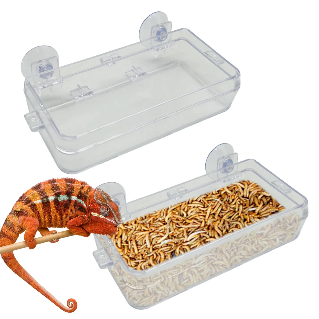 Comedero para Reptiles con Ventosa, Plato de Comida Anti-Escape para Camaleones, Iguanas, Lagartos, Serpientes, Alimentación de Agua y Comida para Reptiles, 1/2 Piezas