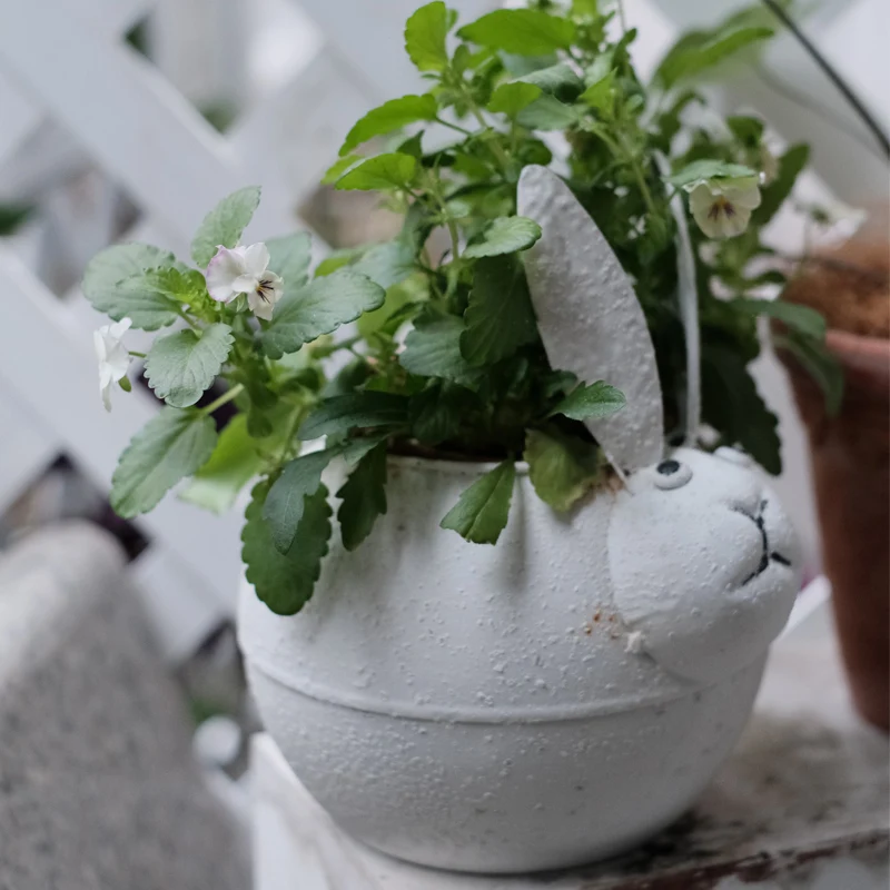 Outdoor White Flowerpot Metal Vase Cartoon Plant Planter Farmhouse Decoration Retro Flower Basket For Air Plants Succulent Pot
