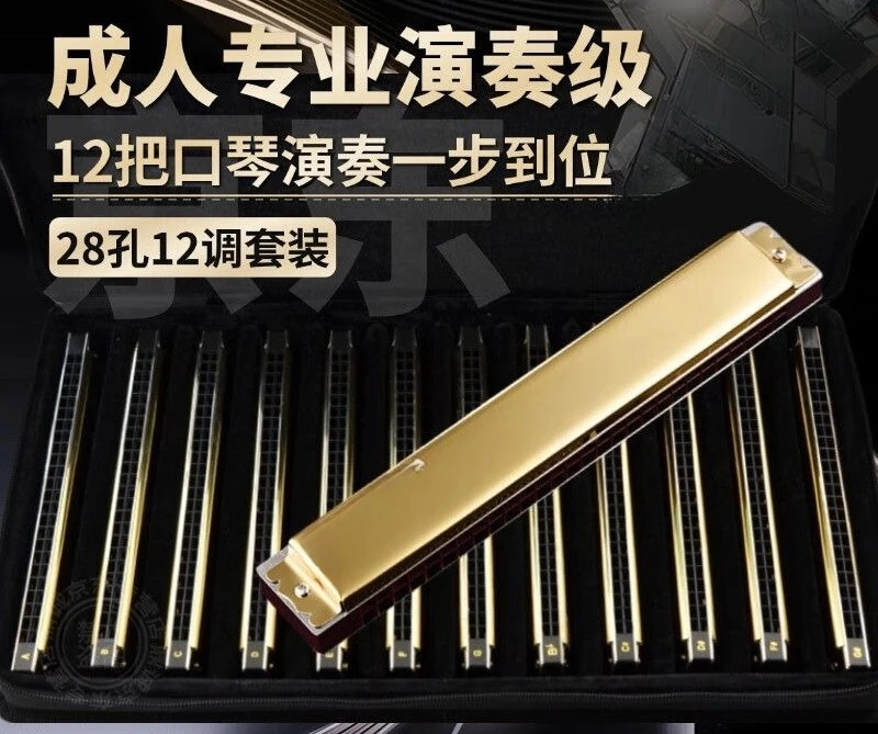 28-Hole polyphonic harmonica 7-key 12-major set, full set of full-key adult professional performance grade