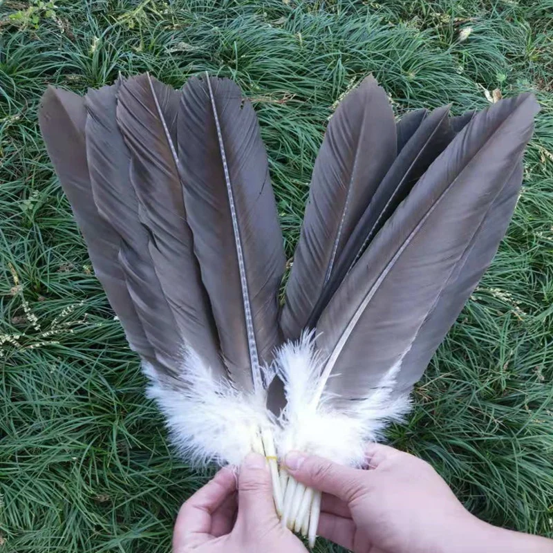 10PCS, eagle feathers, tail feathers 40-50 cm of natural golden eagle feathers