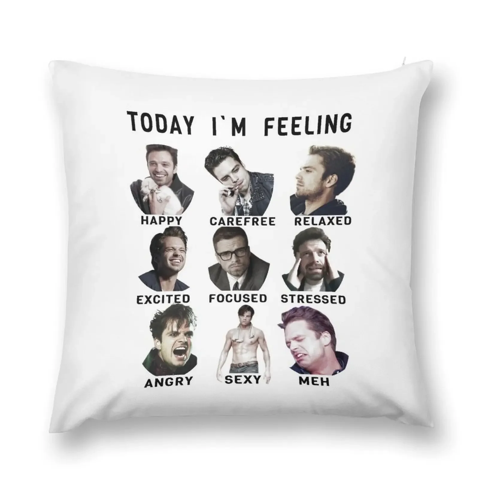 Sebastian Stan - Funny Feelings - Bucky Barnes - Signature Throw Pillow Luxury Living Room Decorative Cushions pillow