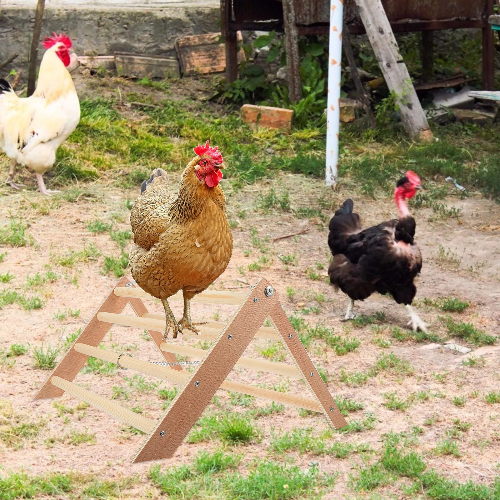 

1Pcs Wooden Hen Rooster Stand Unique Appearance Chicken Perch Pet Fun Balance Exercise Hen Standing Frame Rooster Standing Frame