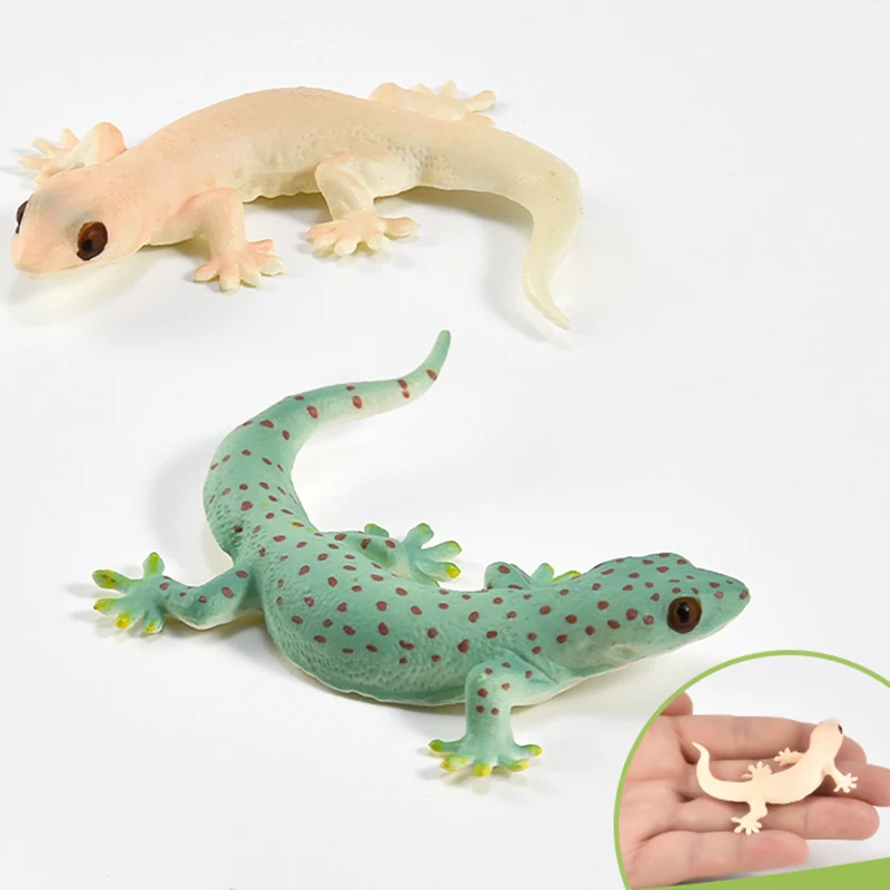 

Твердая детская игрушечная модель рептилии, тыквенный тигр, геккон, ящерица, чешуя, образовательное познавательное подарочное украшение