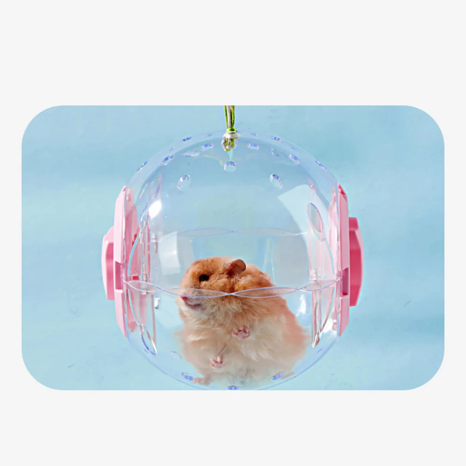 14cm/18/cm Hamster Exercise Ball Transparent Hamster Running Ball Wheel With Traction Rope  Small Animals Pet Supplies