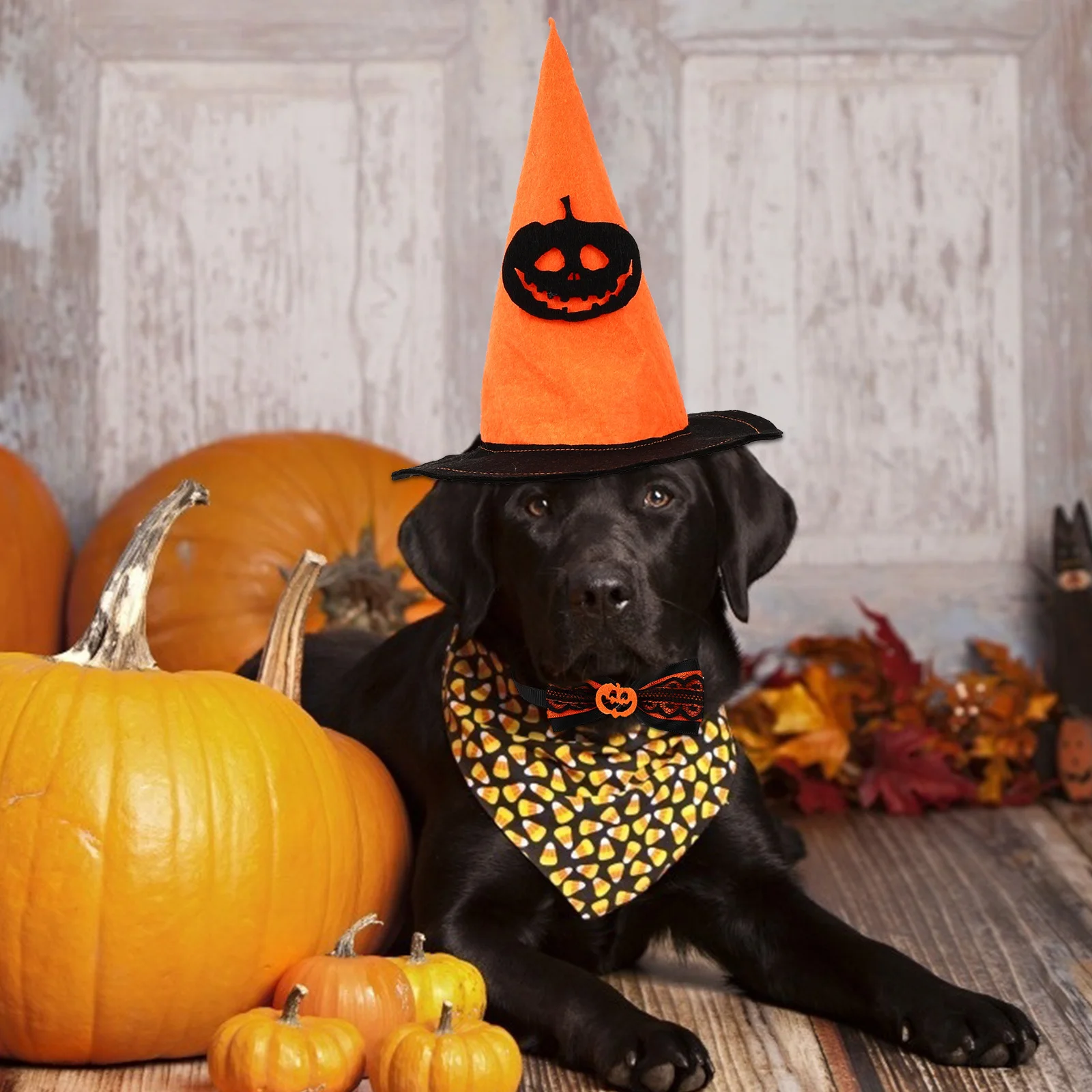 

1 Set Costume Set Halloween Lightweight Party Decoration For Dog Cat Headdress Collar Hat Bat Wing Pet Leash Festival Apparel