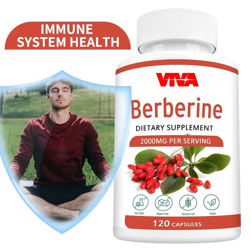 

Берберские капсулы — поддерживает здоровый метаболизм, здоровье сердца, иммунитет, здоровье желудочно-кишечных сокращений и здоровье холестерина.