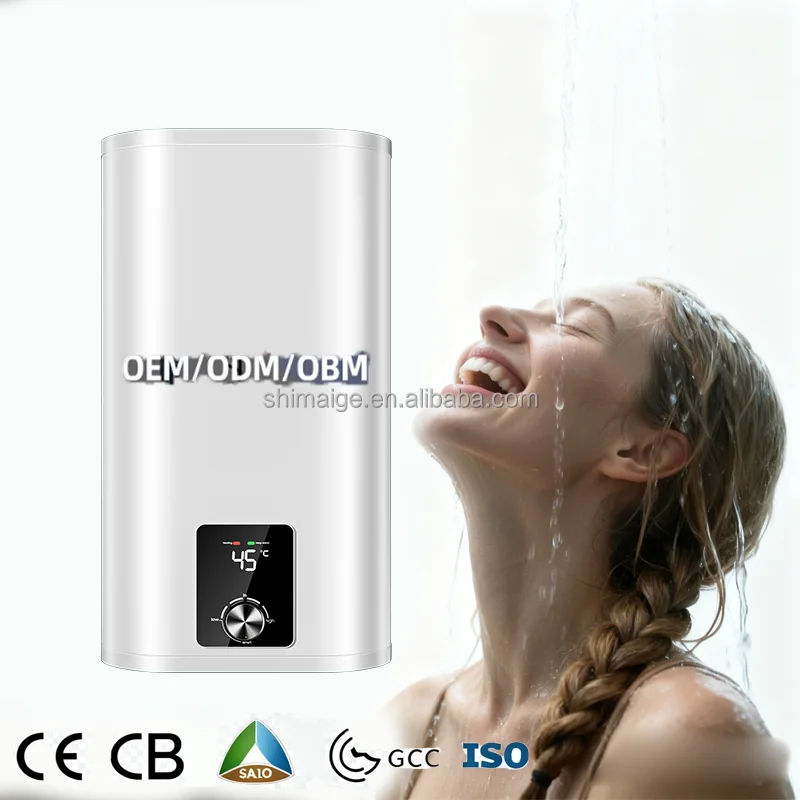 Multi-Capacity Electric Storage Water Heater for Household and Hotel Use Wall-Mounted Hot Water Heater with Plastic Housing