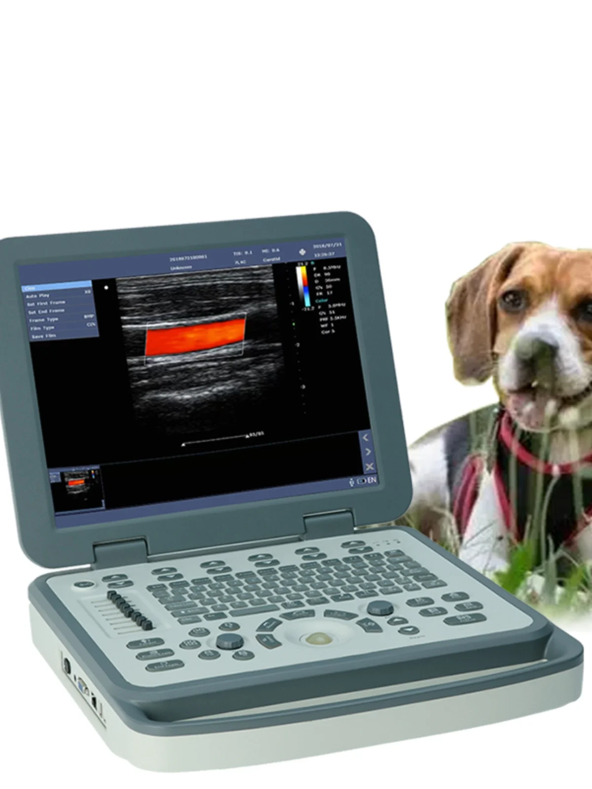 Notebook Portable Animals B- Mode Ultrasound, Colored Ultrasonic Wave Diagnostic Instrument