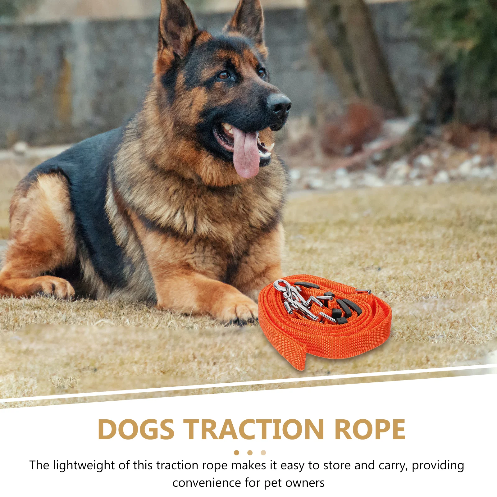 

One Tow Three Pet Leash Dog Walking Traction Rope Adjustable Lead for Medium Dogs Durable Lightweight with