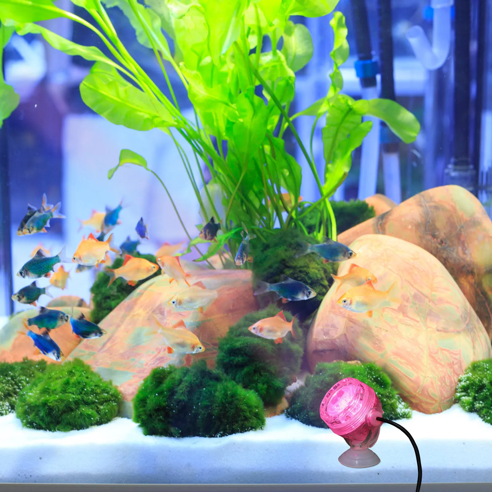 

LED Aquarium Night Light Small Submersible Spot for Fish Tank Decor Color Changing Effects Enhance Viewing Pleasure Easy Setup