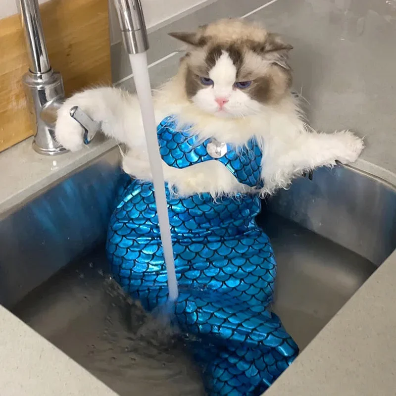 Cute Mermaid Pet Skirt Creative Halloween Pet Dressing Flash Cat Dress Coat Dog Cat Pet Clothes for Small Dog 코스프레 Ropa Mascota