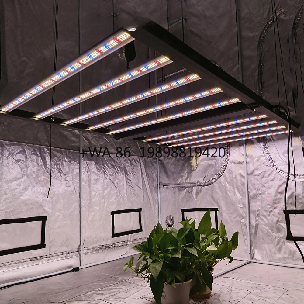 

Lm301 Полный спектр выращивания IP54 Теплица Крытый складной завод Полный спектр УФ-ИК 1000 Вт Led Grow