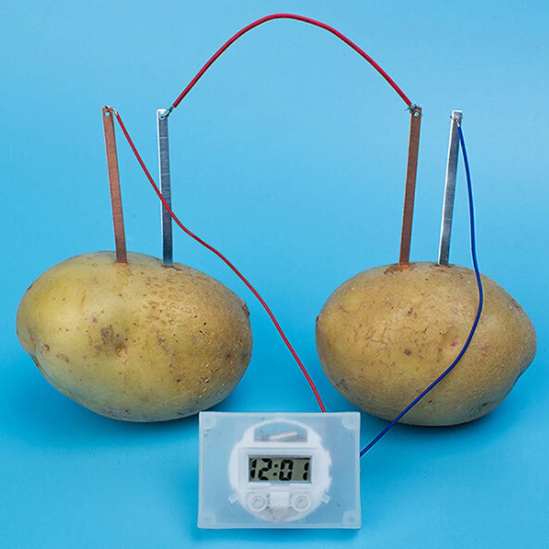 Bambini bio energy science kit fun potato supply elettricità esperimenti giocattoli