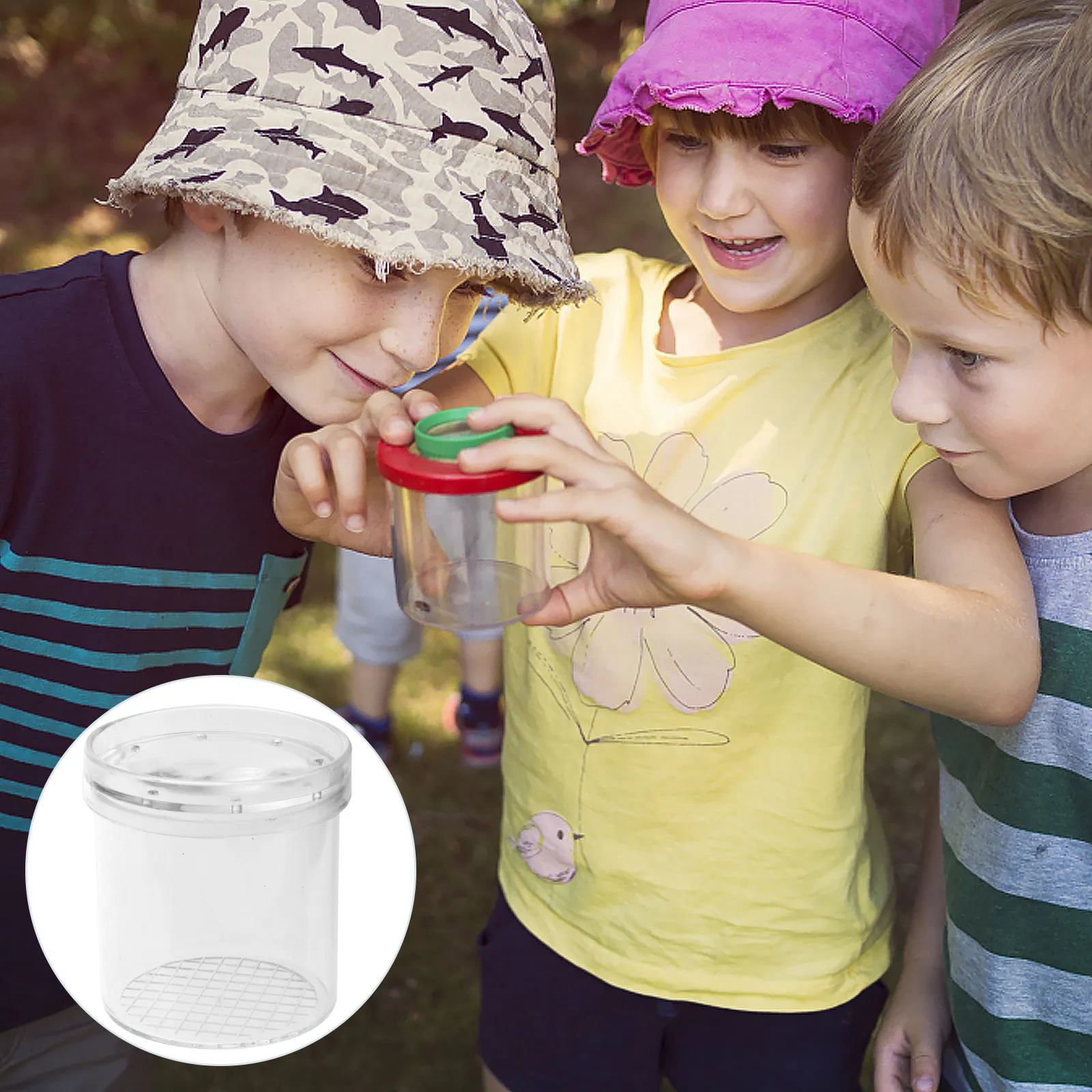 

5Pcs Insect Observation Viewer for Kids Magnifier Science Explorer Tool Nature Biology Learning Outdoor Plant Bug Study
