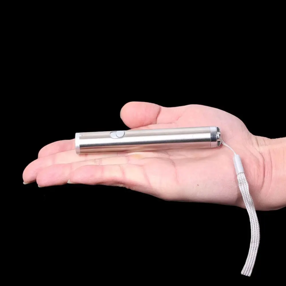 Katzen 2-in-1-Trainingsgeräte Lustiges Haustier LED-Licht Katzenspielspielzeug Chaser Toys Pointer